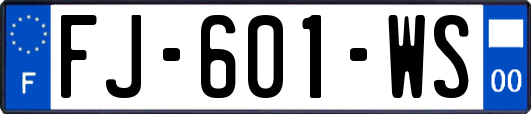 FJ-601-WS