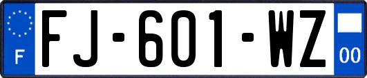 FJ-601-WZ