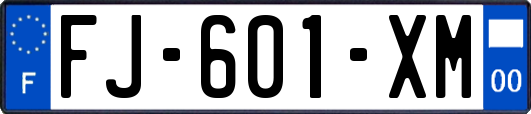 FJ-601-XM