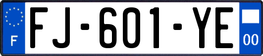 FJ-601-YE