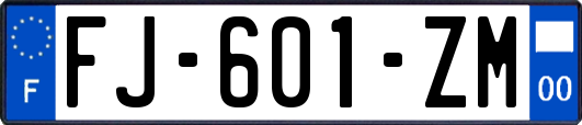 FJ-601-ZM