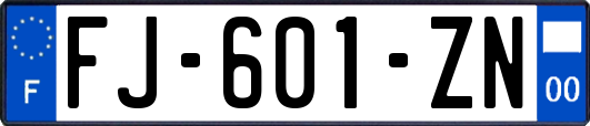 FJ-601-ZN