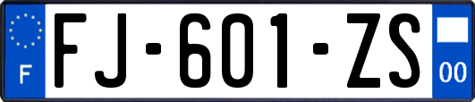 FJ-601-ZS