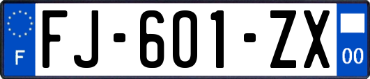 FJ-601-ZX