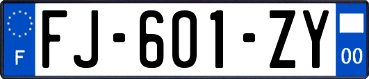 FJ-601-ZY