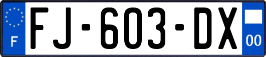 FJ-603-DX