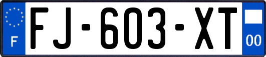 FJ-603-XT