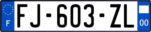 FJ-603-ZL