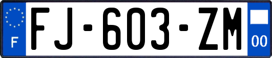 FJ-603-ZM