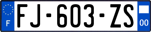 FJ-603-ZS