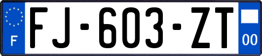 FJ-603-ZT