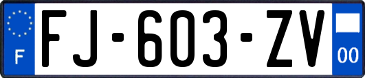 FJ-603-ZV