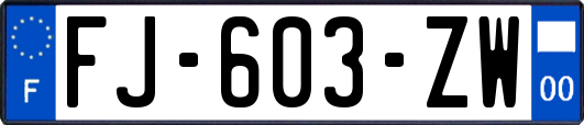 FJ-603-ZW