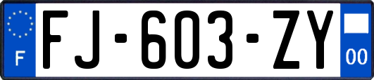 FJ-603-ZY