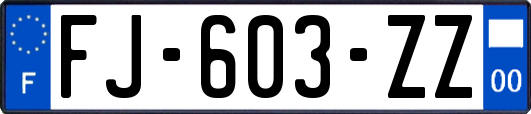 FJ-603-ZZ