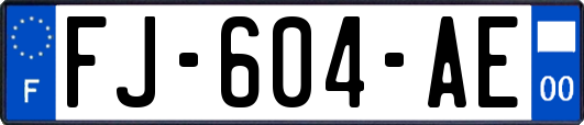 FJ-604-AE