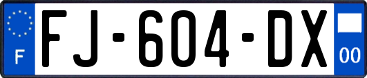 FJ-604-DX