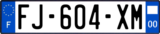 FJ-604-XM
