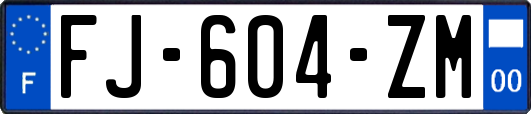 FJ-604-ZM