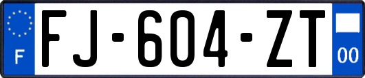 FJ-604-ZT