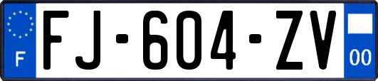 FJ-604-ZV