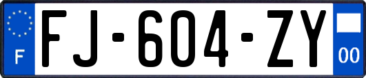 FJ-604-ZY