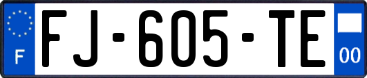 FJ-605-TE