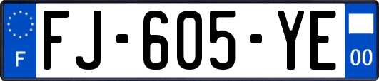 FJ-605-YE