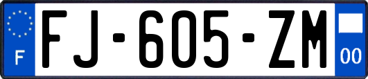 FJ-605-ZM