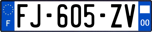 FJ-605-ZV