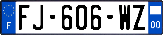 FJ-606-WZ