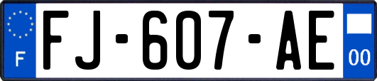 FJ-607-AE