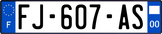 FJ-607-AS