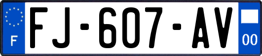 FJ-607-AV