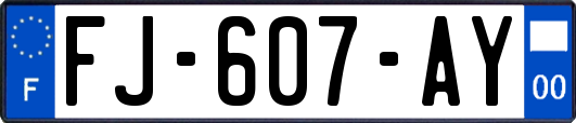 FJ-607-AY