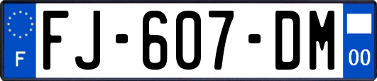 FJ-607-DM