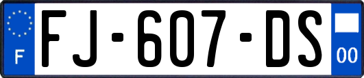 FJ-607-DS