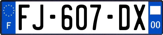 FJ-607-DX
