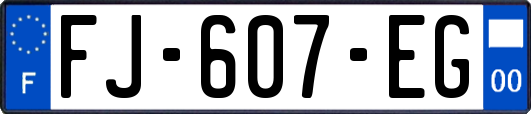 FJ-607-EG