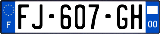 FJ-607-GH