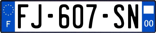 FJ-607-SN