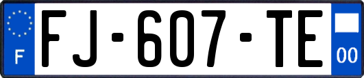 FJ-607-TE