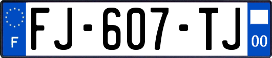 FJ-607-TJ