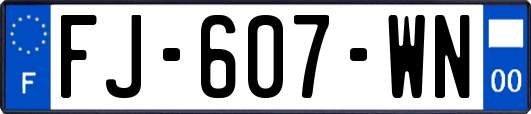 FJ-607-WN