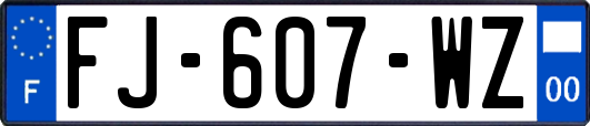 FJ-607-WZ