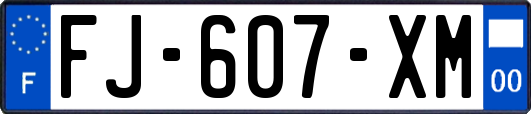 FJ-607-XM