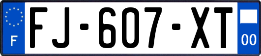 FJ-607-XT