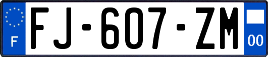 FJ-607-ZM