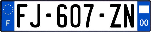 FJ-607-ZN