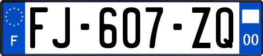 FJ-607-ZQ